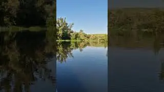 Вода кипит от количества малька! Красота утренний реки. #shorts
