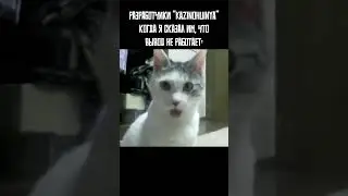 АЗАРТНЫЙ МЕМ #мем #юмор #мемы