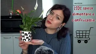 ASMR ITA: Video spesa LIDL -Denny Relax ASMR