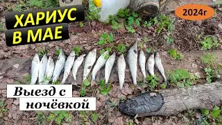 За Хариусом. С ночевой. 25.05.24г.