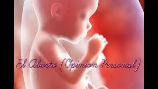 Tema Del Aborto (opinion Personal)