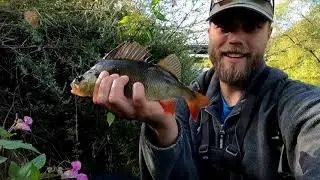 Ultralight Spinning For Pike And Perch | Exploring New River!!! |