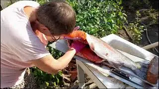 это просто супер 🐟🐟🐟🎏🎏