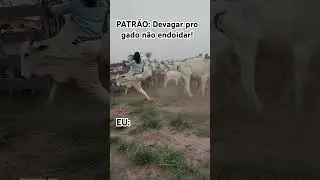 Desse jeito