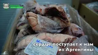 Экскурсия на завод по производству лакомств Мистер Гав!