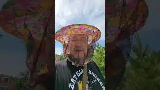 мы погладили пчелу! #shortvideo #shorts #short