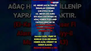 Hz. #Mehdi #Kendi #Evinden #Tebliğ Yapacaktır TEBLİĞİ İNSANLAR ÜZERİNDE ÇOK ETKİLİ OLUR #mehdishorts