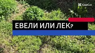 „Плевели или лек? Тайните на лечебните растения в градината“- Елионора Недялкова (Графиня Дьо Шарки)