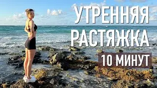 10 мин: утренняя растяжка