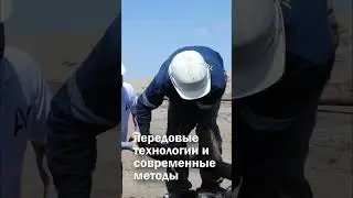Интенсификация добычи нефти | Технология гидромониторной обработки #shorts #нефть #oil #oilandgas