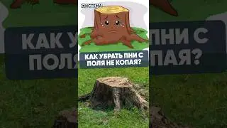 Как убрать пни не выкапывая их?