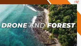 Drone and Forest 4k | MVF