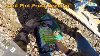 Food Plot Frost Seeding