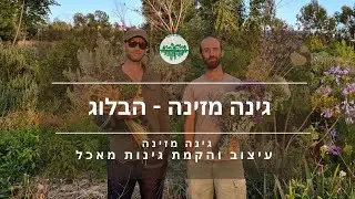 צאו לטיול בבלוג שלנו