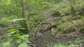 Seeking the source of the Śląska Ochla