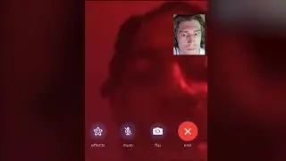 xQc calls playboi carti