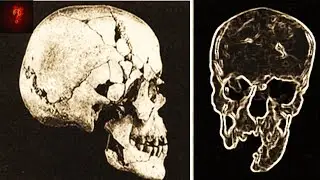 💀 Dead Sea Scrolls Ghost Skeleton Found? 💀