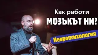 Как работи мозъкът ни? | Невропсихология