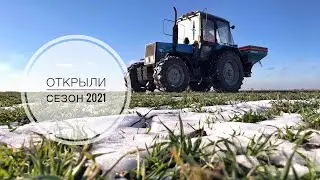 СЕЗОН 2021 ОТКРЫТ | Вносим селитру по мерзлоталому