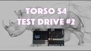 Torso S4, Torso T1, OP Z,  & Digitak II - Live 34