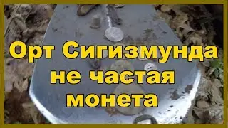 Поиск монет на средневековом поселение в лесу. Коп удался есть редкая монета.
