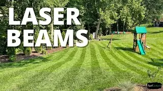 Stripe Your Lawn // Big League Checkmate Lawn Striping Kit