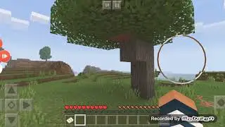 Выживание Часть 1
