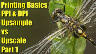 Printing Resolution PPI & DPI: Part 1 - Difference Between Upsample & Upscale