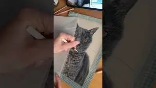 Pastell- und Buntstiftzeichnung 🐱🥰