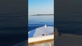 Волжская красота!#рыбалка #волга
