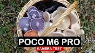Poco M6 Pro Kamera Test