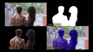 Silhouette | Hair rotoscopy work