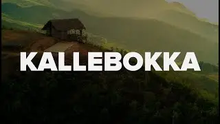 Kallebokka - Sri Lanka - 2018