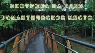 Сказочная и романтичная ЭКОТРОПА на ВДНХ, особенно ночью.