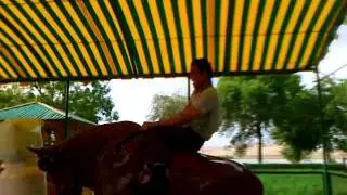 buqa