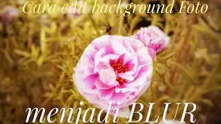 Cara mudah Edit Foto Bokeh | BLUR  |  Seperti kamera DSLR