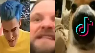 Маленькая подборка щитпост клипов из тиктока