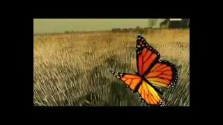 MATHEMATICS IN NATURE