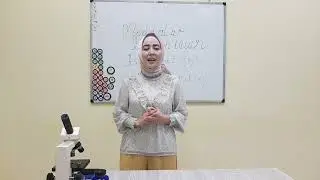 Moddalar almashinuvi