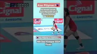 Alas Pilipinas vs Indonesia volleyball 2024 #vleague #fyp #gameplay #volleyball
