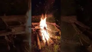 Logorovanje😊