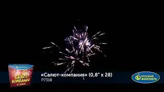 P7318 Фейерверк 