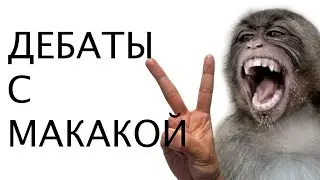 ДЕБАТЫ С МАКАКАМИ #2