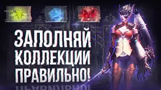 коллекции руководство для новичков | lineage 2 essence 2024