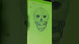 Dibujo de cráneo claroscuro  #artist #viral #dibujo #craneo #arte