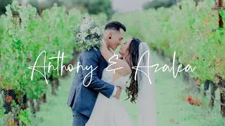 ANTHONY & AZALEA