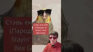 Ставь ему лайк! #пародия на #stayinalive #beegees #прикол #попугай #птицы #юмор