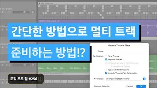 로직 유저 필수 / 멀티 트랙 준비를 편리하게 할 수 있는 기능 / 바운스 트랙 인 플레이스 / Bounce Track In Place  / 로직 프로 팁 #256
