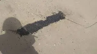 Срезали остановки на улице Новогиреевская (09.05.2024)