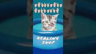 Try Hand Skill Level 2/ funny cat animation/ 고양이 손스킬 2단계 따라해 보세요 /재미있는 고양이 애니메이션/ 힐링샵#손스킬#Hand Skill